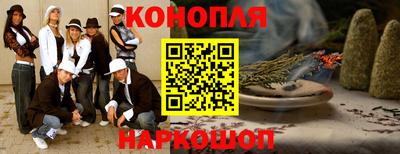 стаф Кингисепп