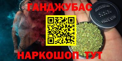 стаф Кингисепп
