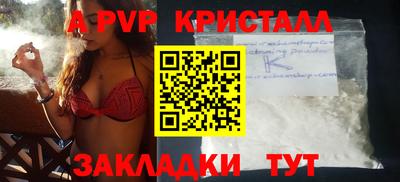 стаф Кингисепп