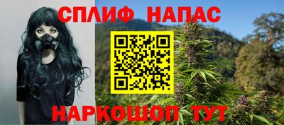 стаф Кингисепп