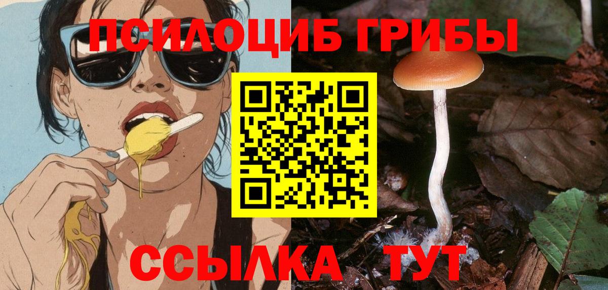 Псилоцибиновые грибы Psilocybe  Галлюциногенные грибы Magic Shrooms  Костомукша  Вход с VPN 